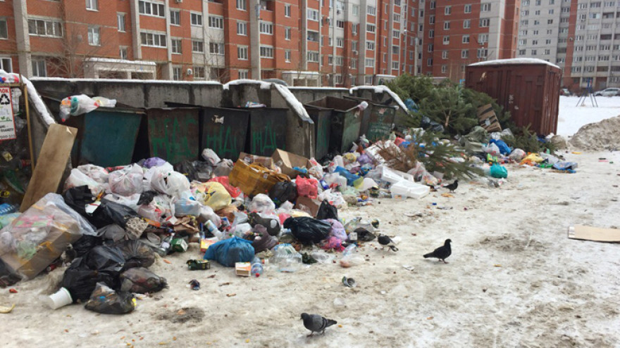 мусор2.jpg мусор2.jpg