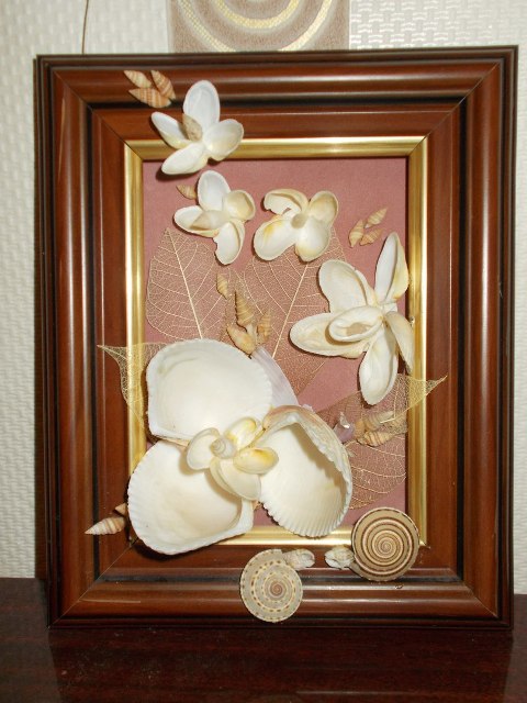 ракушки 1.jpg