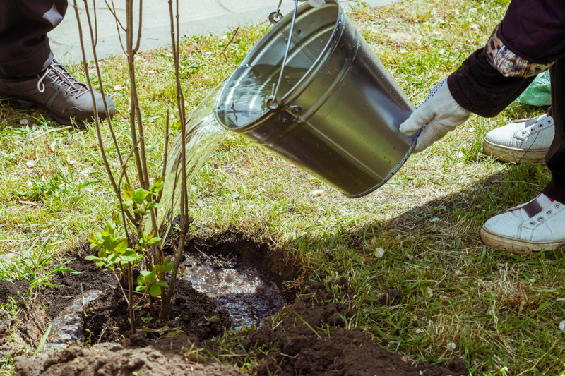 DSC01996.jpg DSC01996.jpg