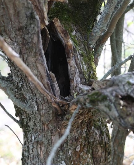 Безымянн-ы-й (2).jpg