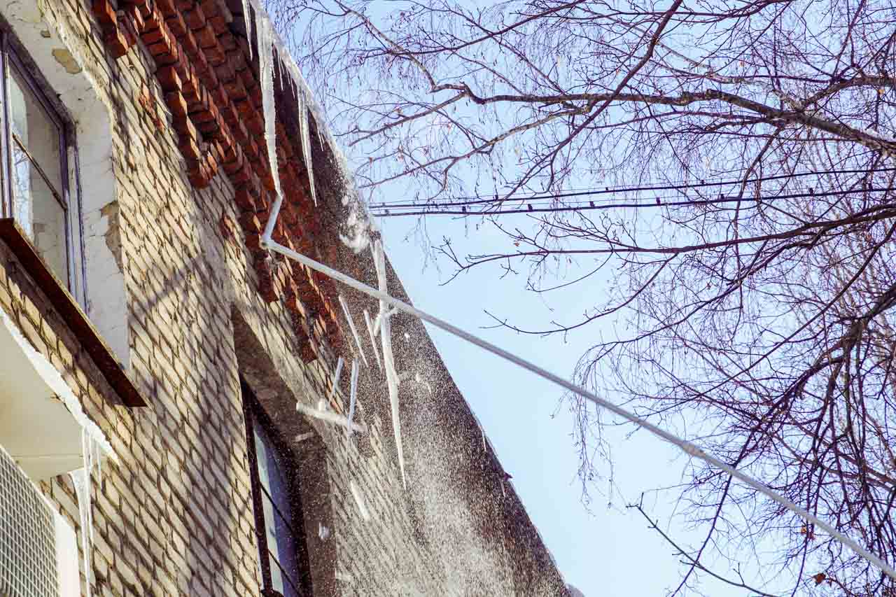 DSC03039.jpg DSC03039.jpg