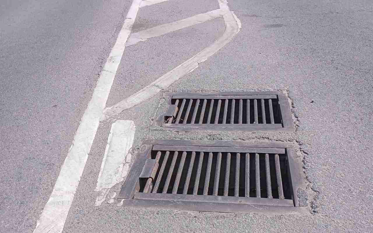 лив1.jpg лив1.jpg