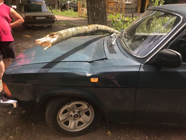 аво2.jpeg аво2.jpeg