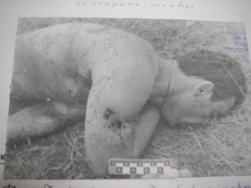 к новохоп треу2 жертва.JPG