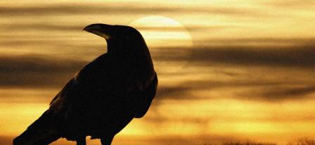 харитонов день.jpg