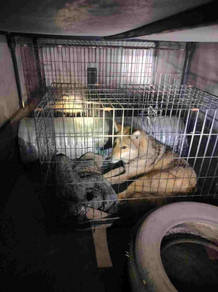 photo_2024-03-08_10-52-56.jpg photo_2024-03-08_10-52-56.jpg