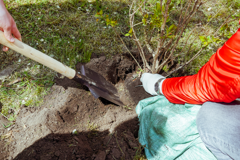 DSC02001.jpg DSC02001.jpg