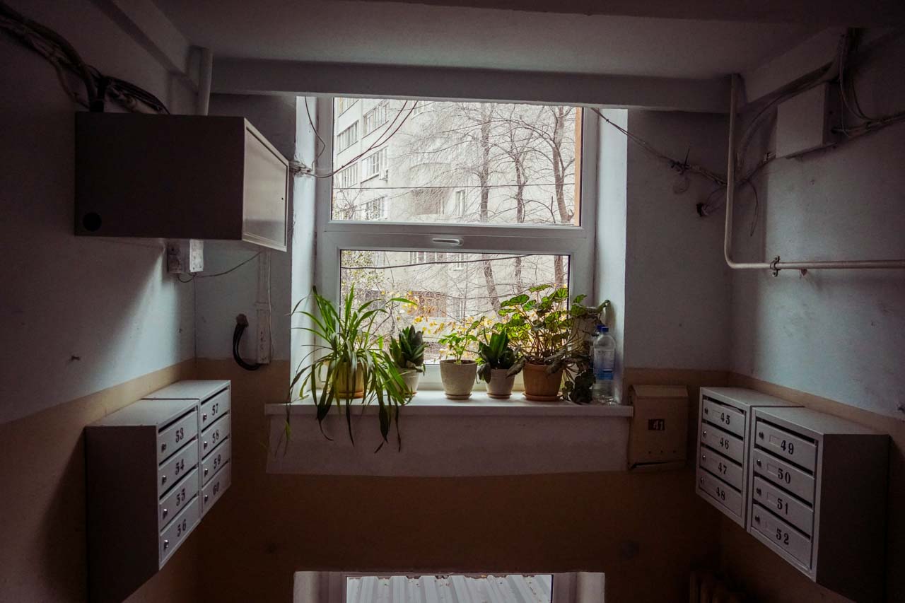 DSC03514.jpg DSC03514.jpg