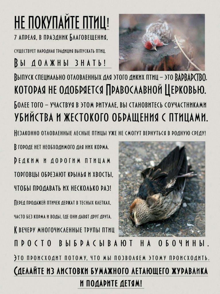 не покупайте птиц.jpg
