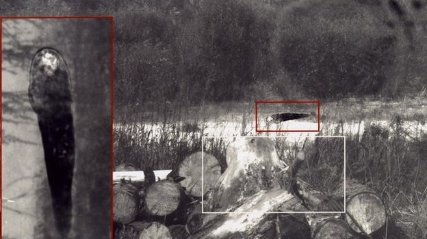 новохоперск 3.jpg новохоперск 3.jpg