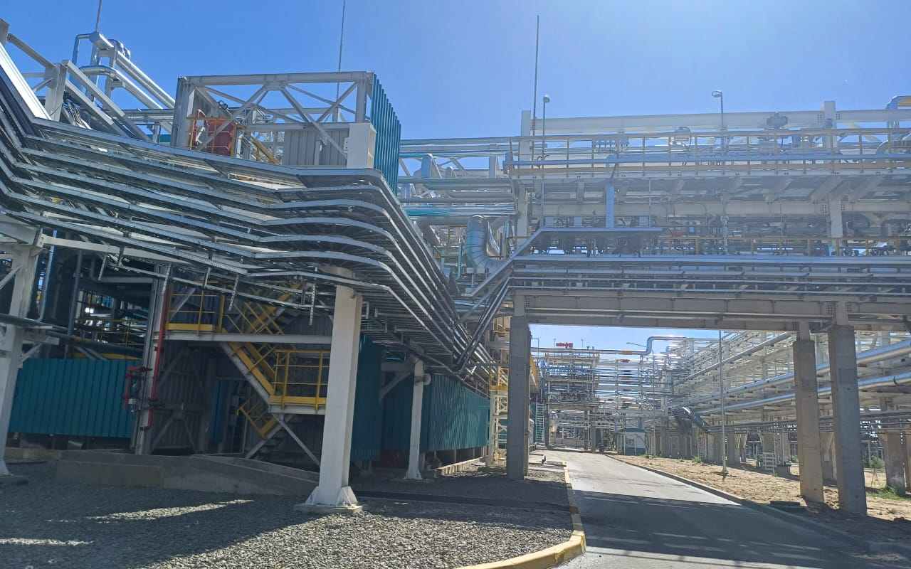 сиб1.jpg сиб1.jpg