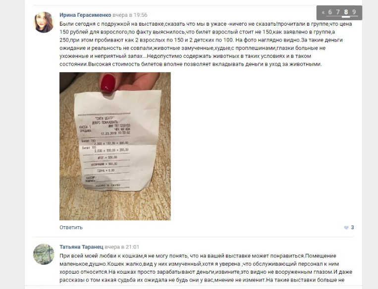 кошечки.png кошечки.png