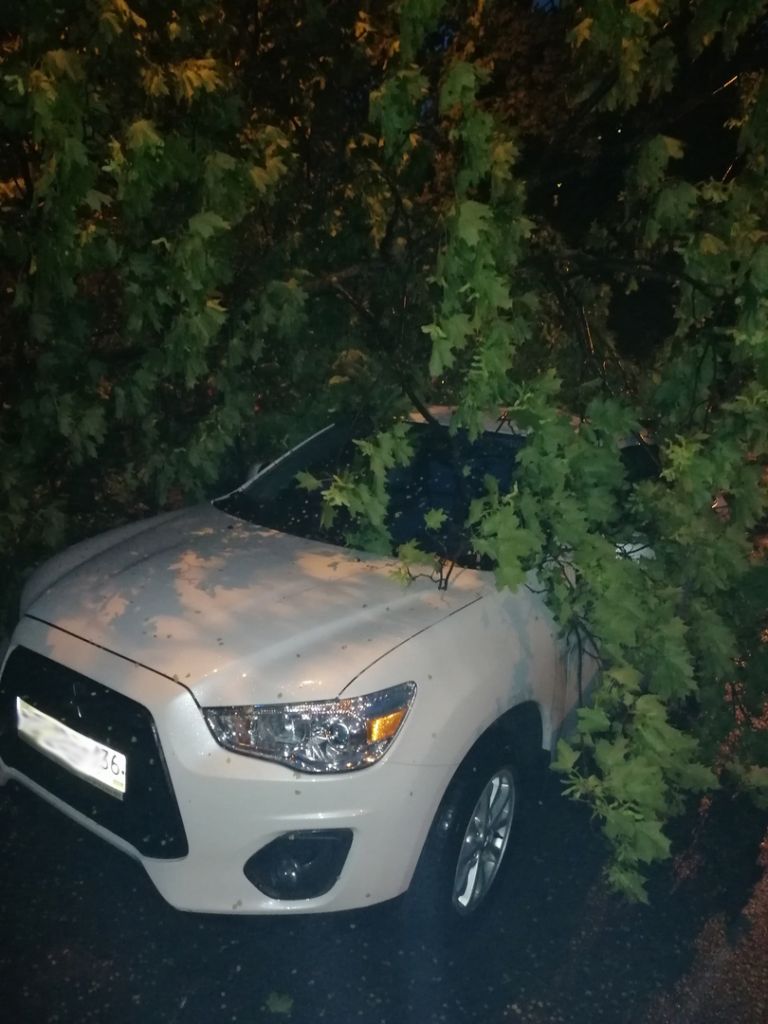 tU5AX44ZBYo.jpg tU5AX44ZBYo.jpg