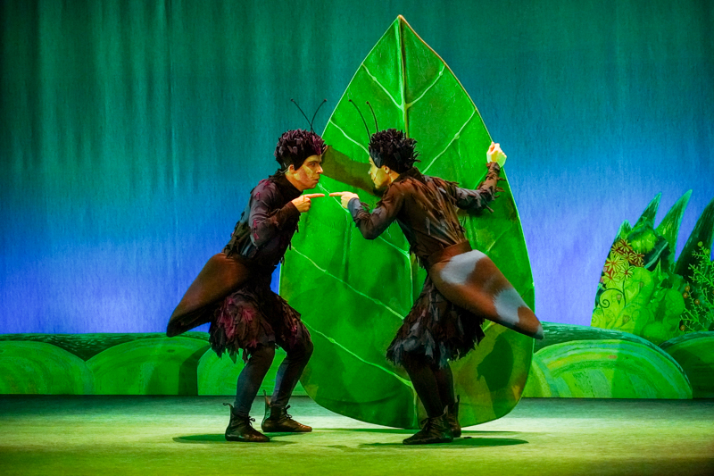 DSC02683.jpg DSC02683.jpg