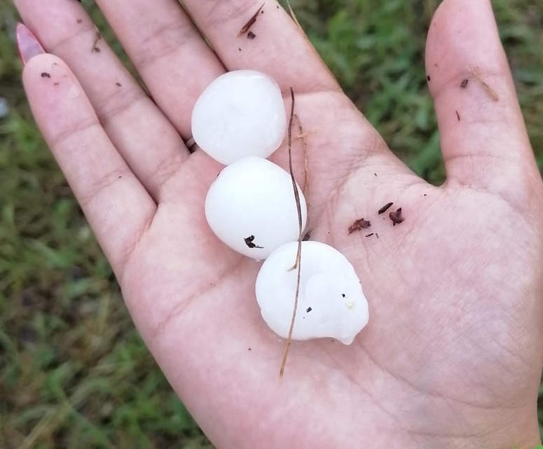 Орлов лог.jpg Орлов лог.jpg