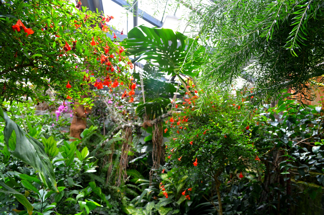 DSC_0414.JPG