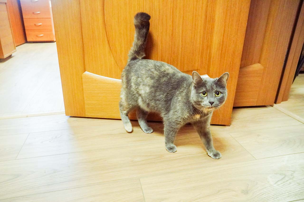 DSC07042.jpg DSC07042.jpg