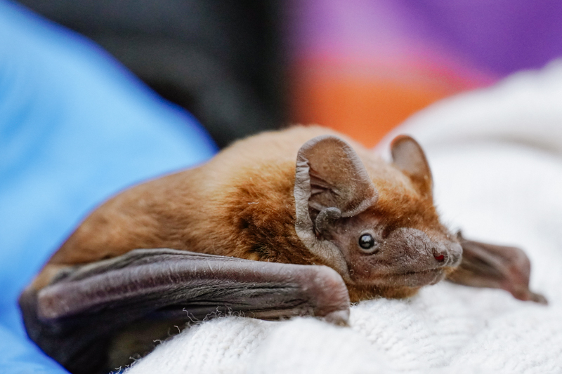 DSC02282.jpg DSC02282.jpg