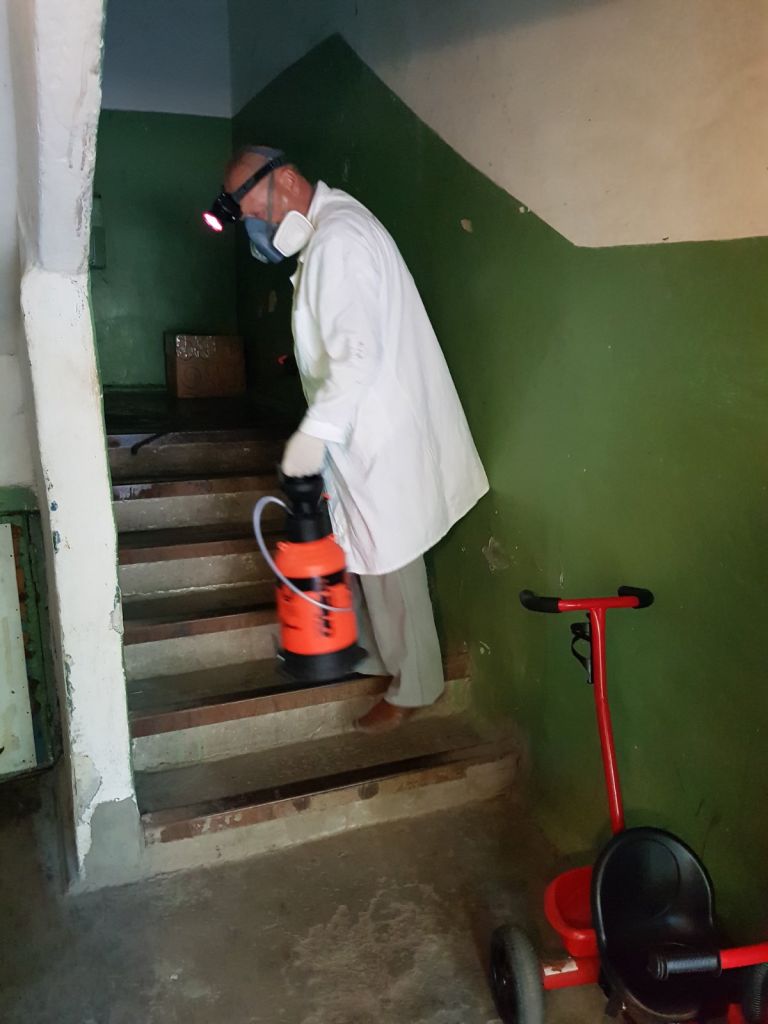 Березовая Роща 56.jpg