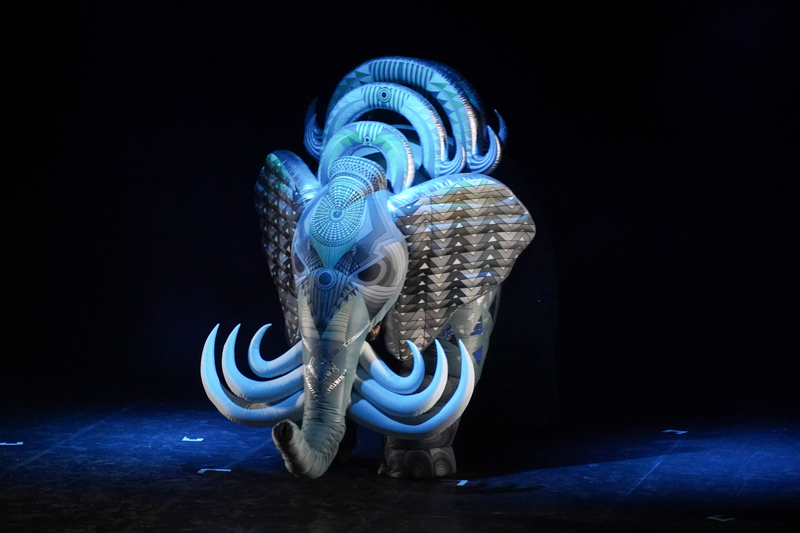 DSC03522.jpg DSC03522.jpg