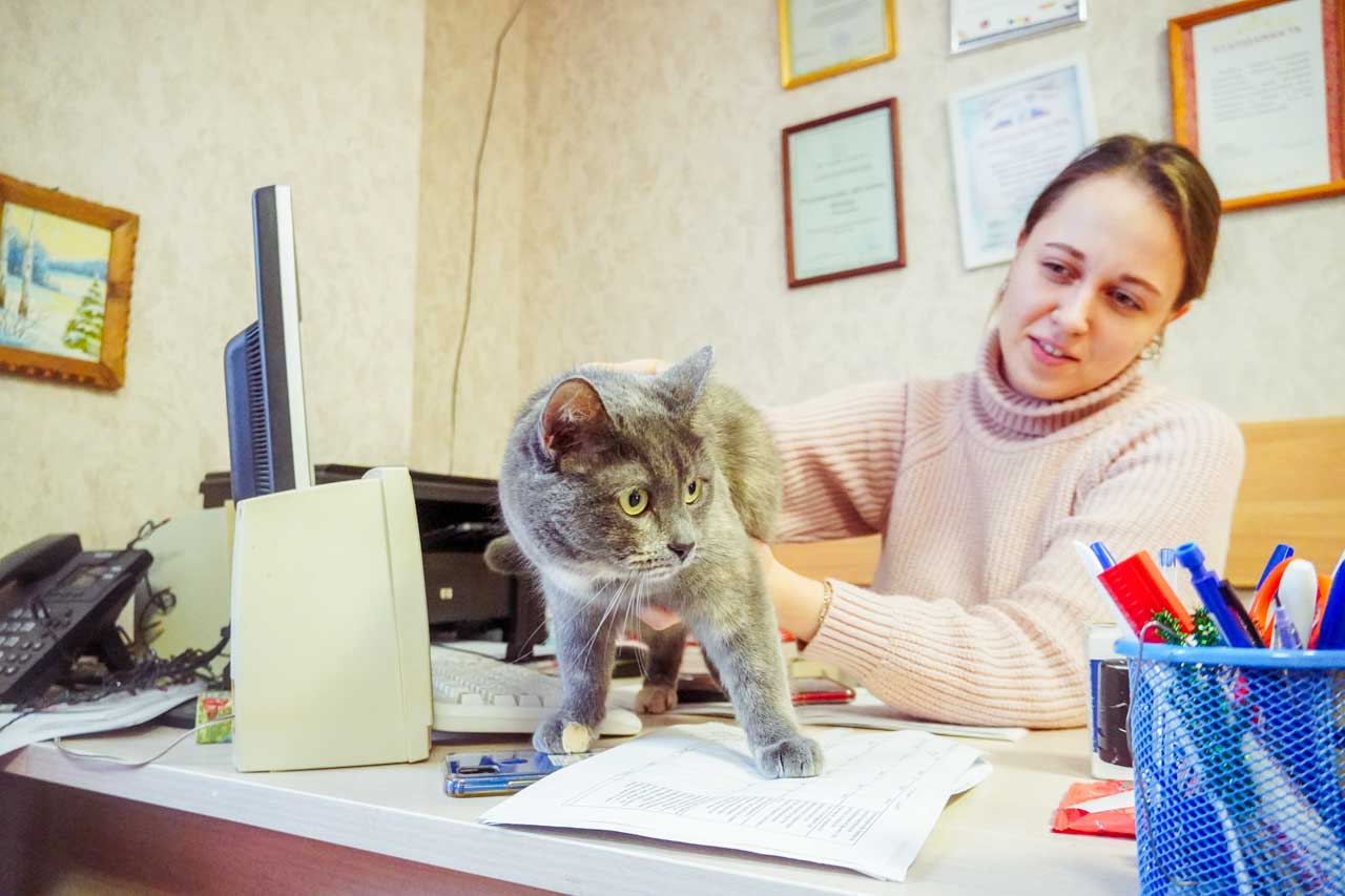 DSC07070.jpg DSC07070.jpg