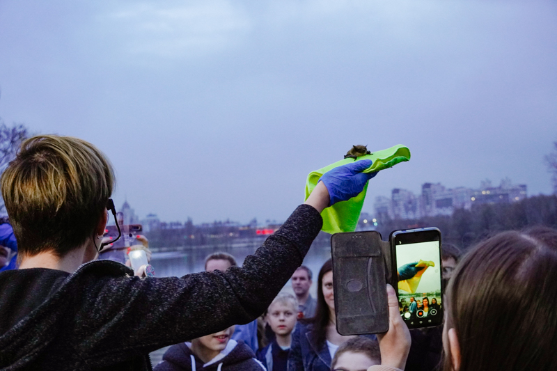 DSC02386.jpg DSC02386.jpg