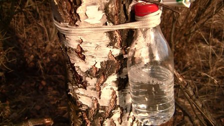 maxresdefault (1).jpg