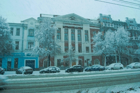 Рожлественская фантазия.jpg