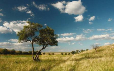 степные пейзажи.JPG