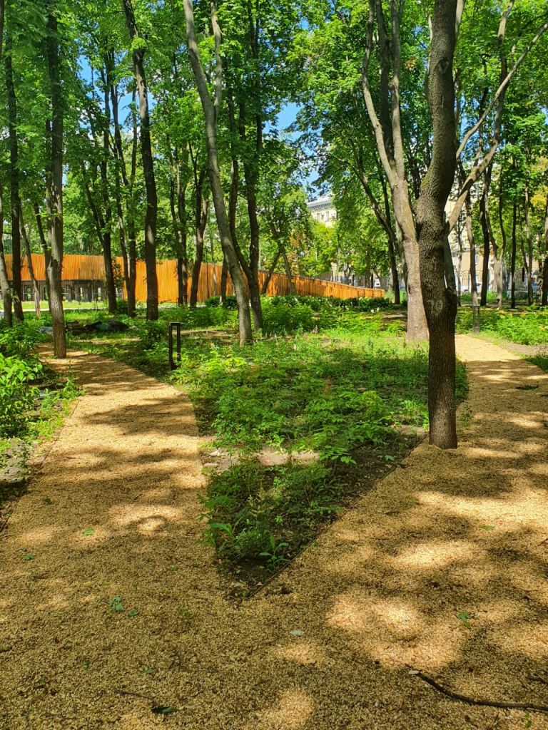 3715f057-fba8-4a9a-8427-18f7d187cf31.jpg 3715f057-fba8-4a9a-8427-18f7d187cf31.jpg