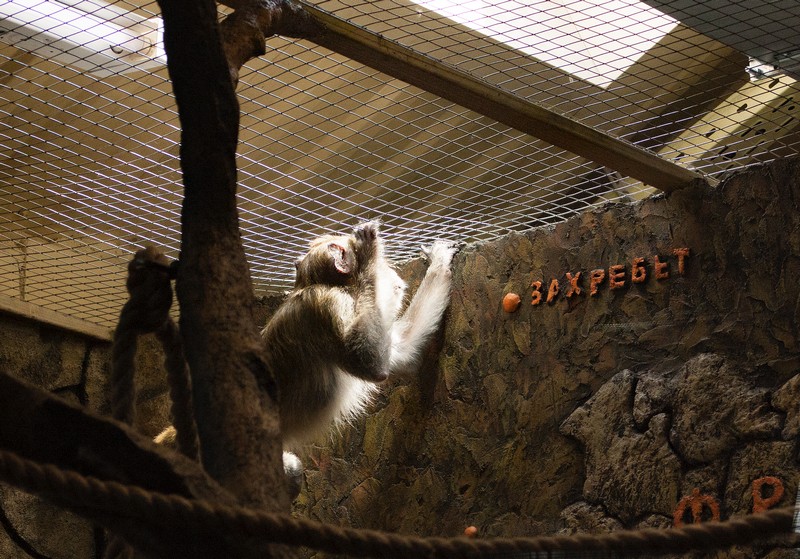 в текст.jpg в текст.jpg