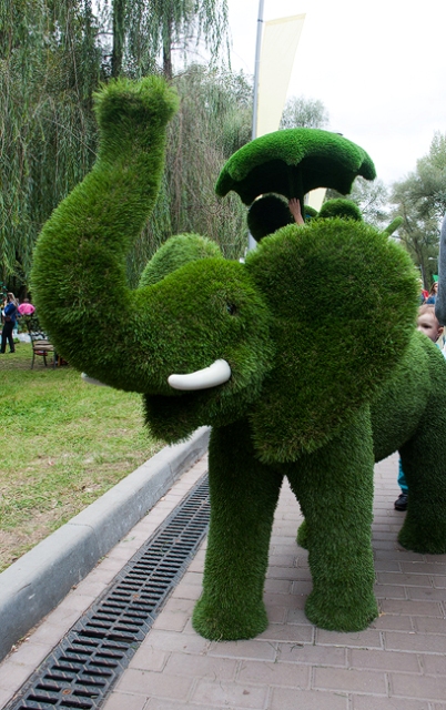 ¦бTВ¦-¦-¦¬TВTМ 12 TД¦-TВ¦-.jpg