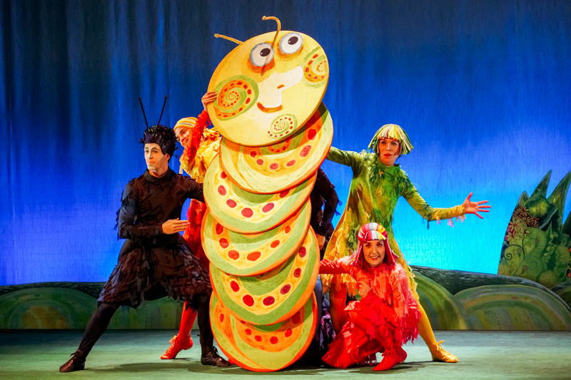 DSC02822.jpg DSC02822.jpg