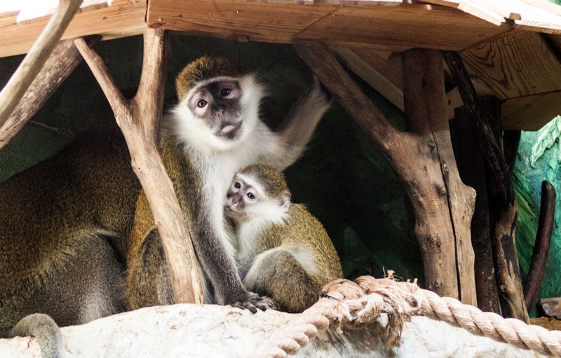 IMG_5725о — в текст.jpg IMG_5725о — в текст.jpg