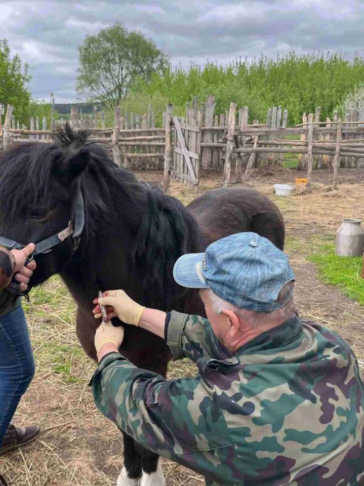 WhatsApp Image 2024-04-25 at 09.48.40 (1).jpeg