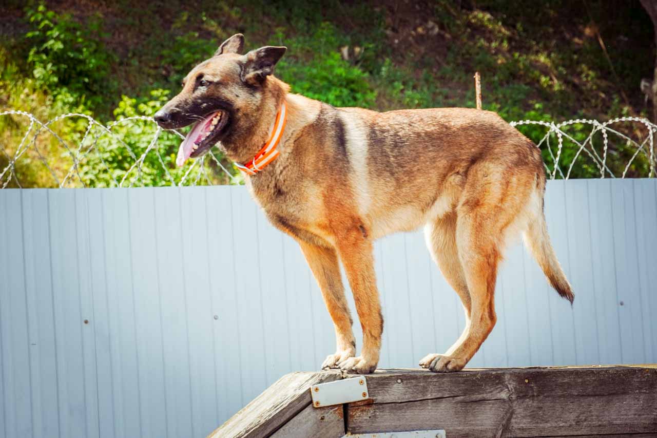 DSC01391.jpg DSC01391.jpg