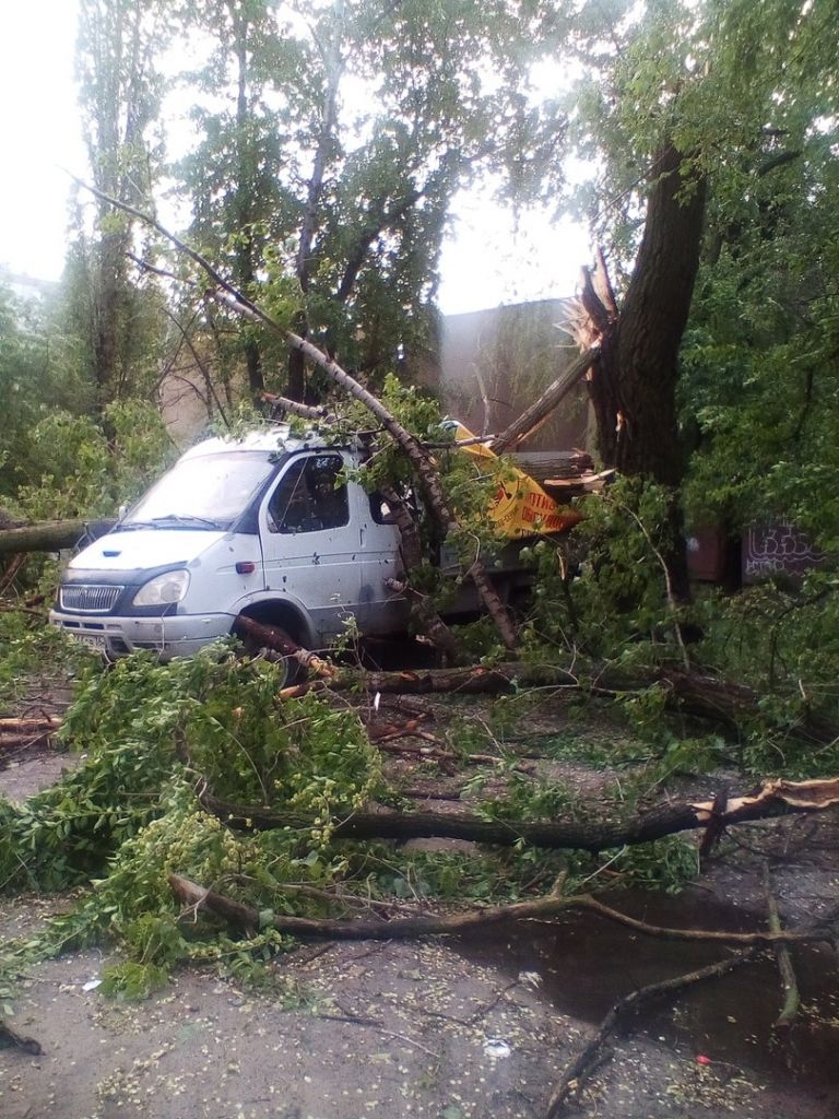 Mybv42weFRs.jpg Mybv42weFRs.jpg