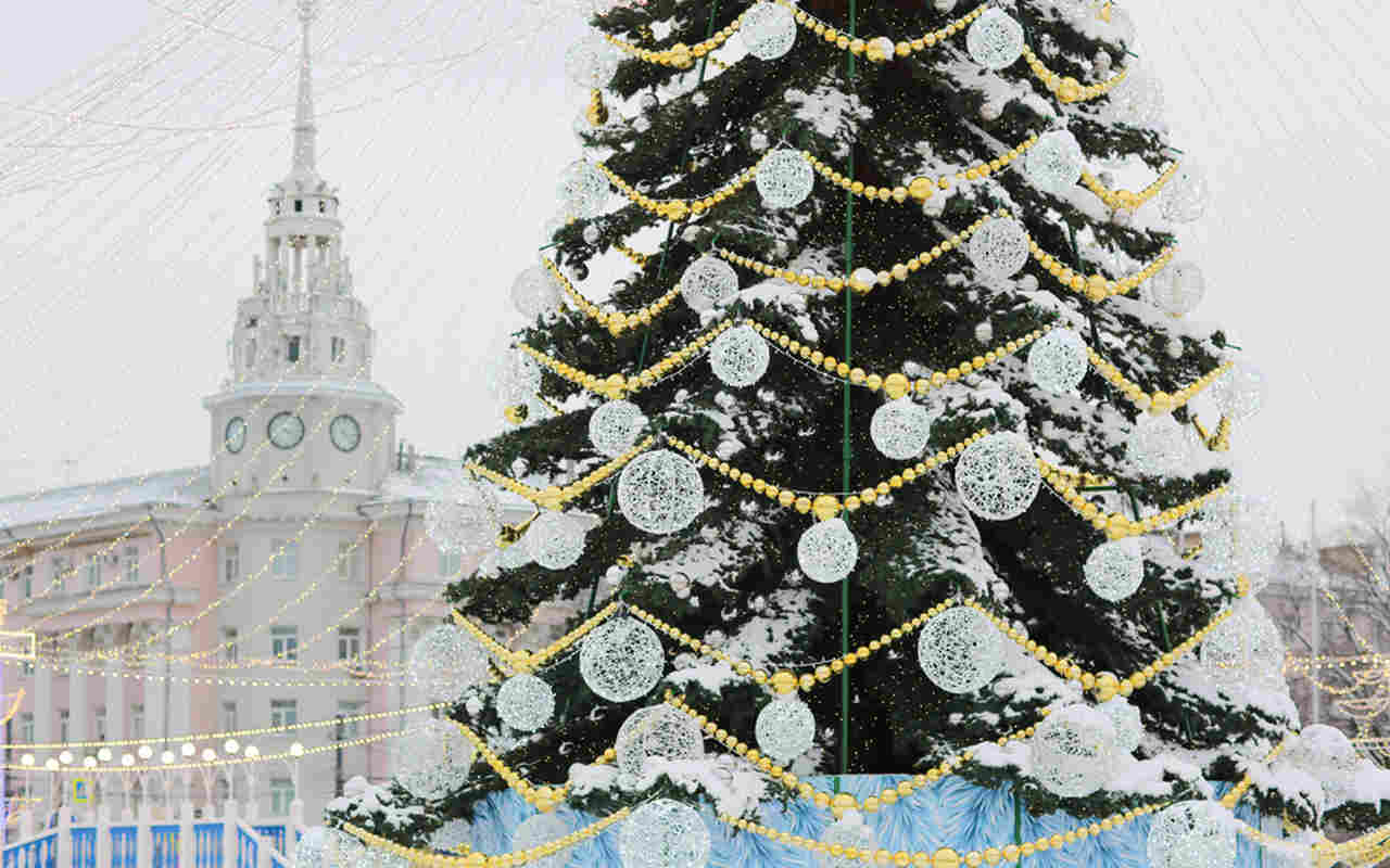 нгод.jpg нгод.jpg