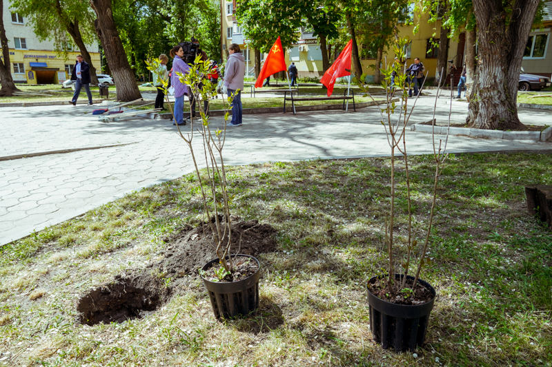 DSC02003.jpg DSC02003.jpg