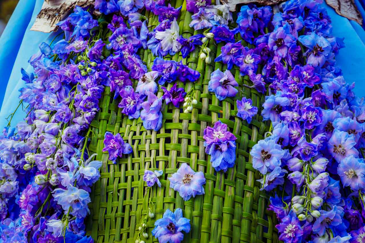 DSC09369.jpg DSC09369.jpg