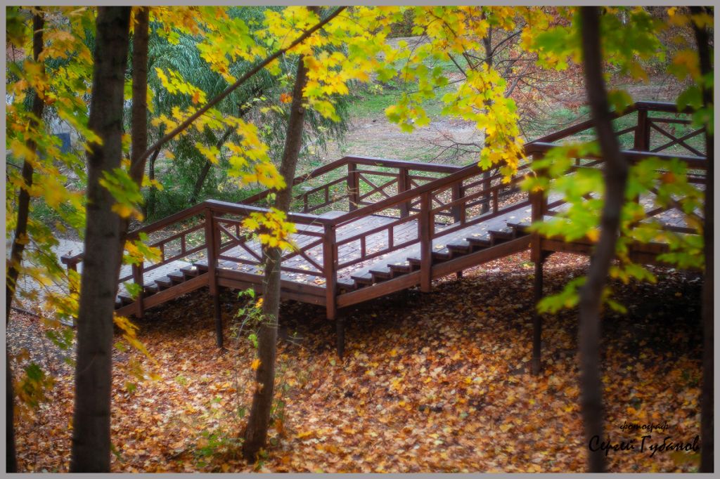 фото 006.jpg фото 006.jpg