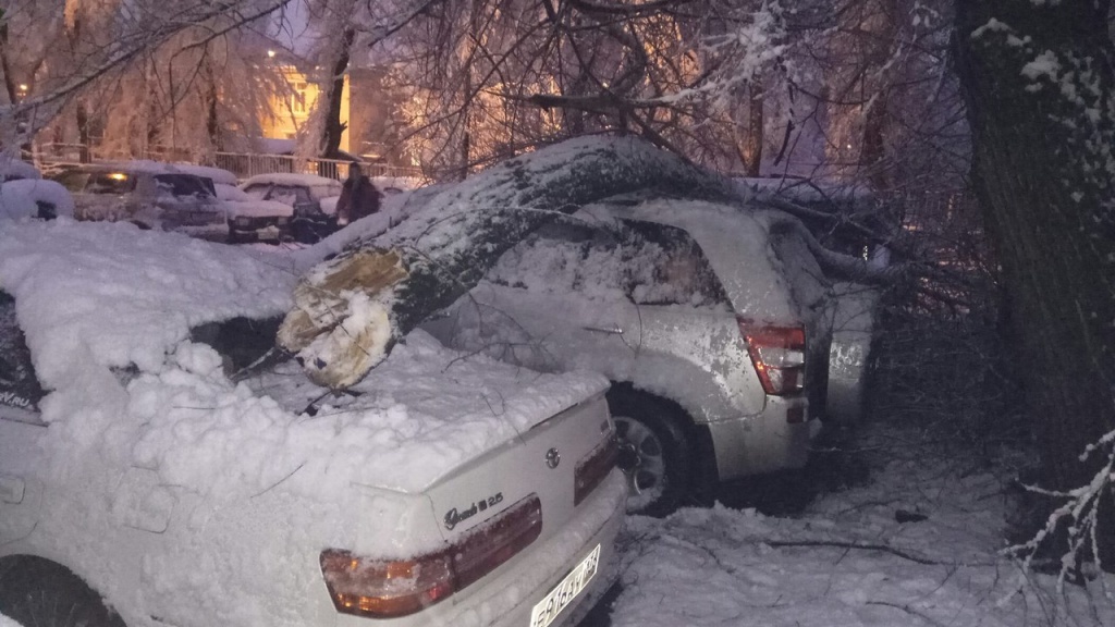 qhn1plC3eLo.jpg qhn1plC3eLo.jpg