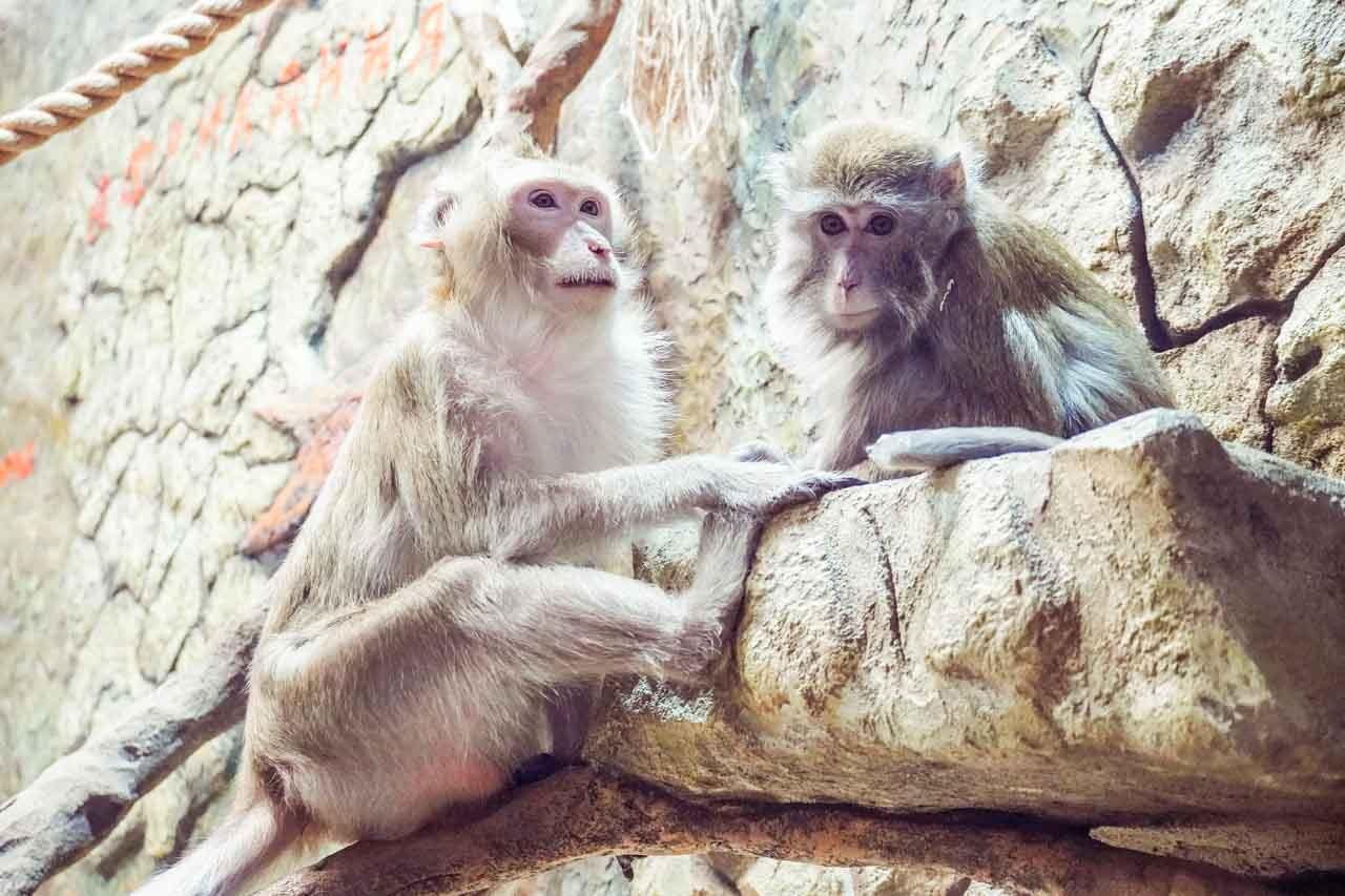 Сэм и Яна.jpg