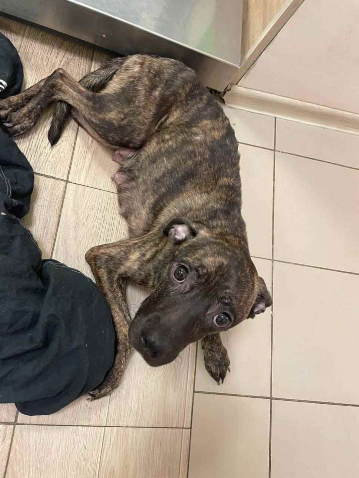 photo_2024-02-11_10-42-42.jpg photo_2024-02-11_10-42-42.jpg