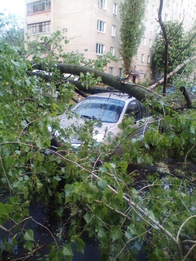 s5LV6FTxYVU.jpg s5LV6FTxYVU.jpg