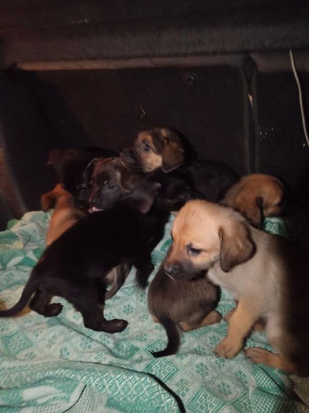 uc-meEbsLEQ.jpg uc-meEbsLEQ.jpg