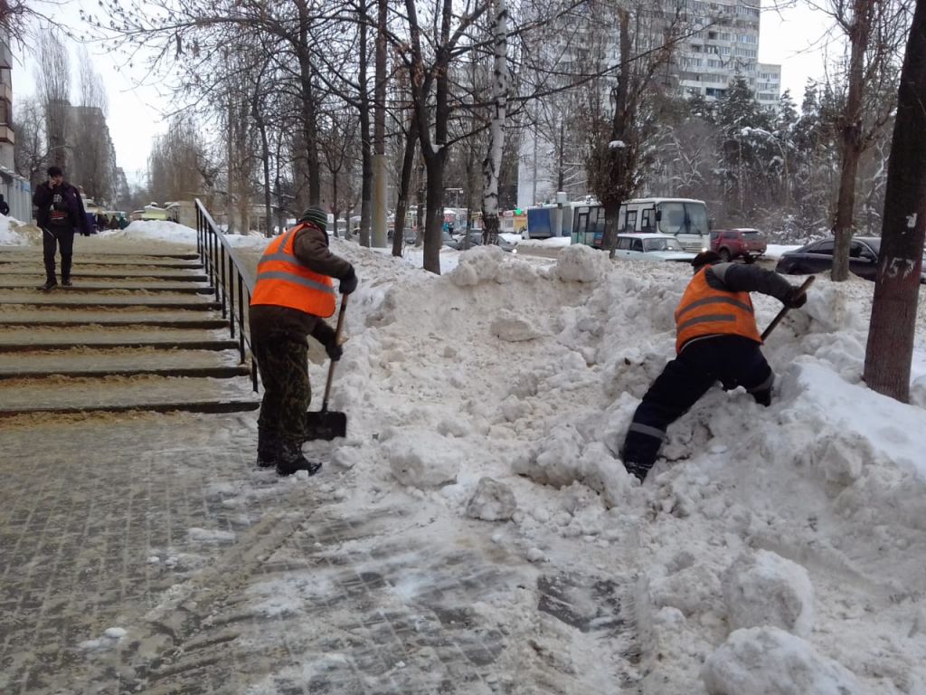 WhatsApp Image 2019-01-14 at 15.35.10.jpeg