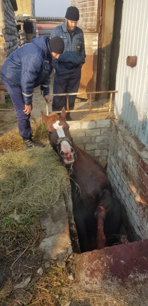 76bb1b39-7b9d-4b92-b637-74ea3367acb1.jpg 76bb1b39-7b9d-4b92-b637-74ea3367acb1.jpg