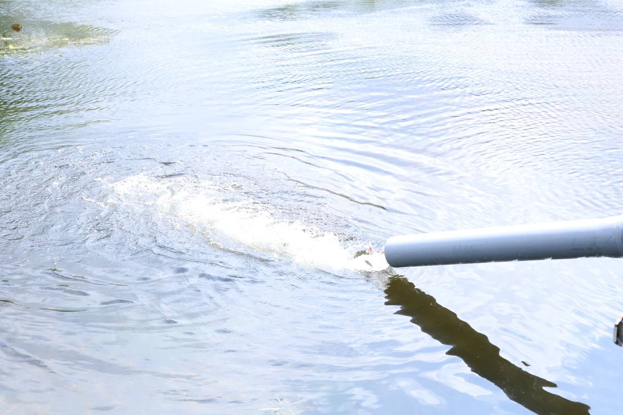 рыбки2.jpg рыбки2.jpg