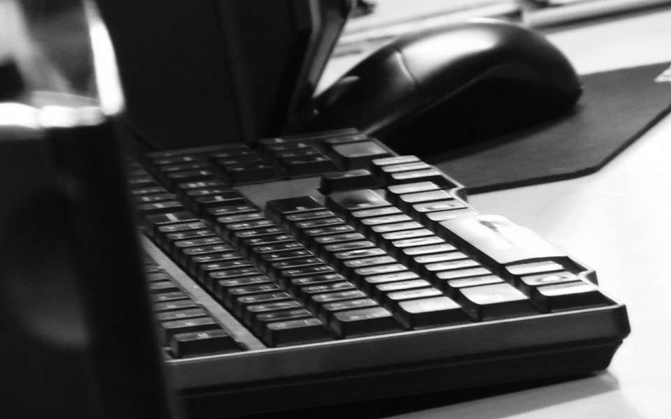 В среднем семь покупок в месяц совершают воронежцы онлайн